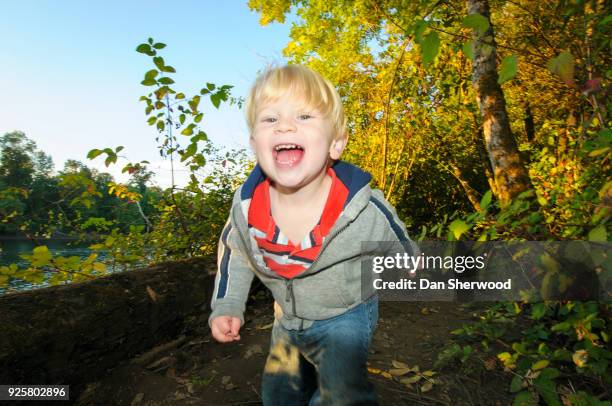 boy at oaks bottom wildlife refuge - portland, oregon - dan sherwood photography - fotografias e filmes do acervo