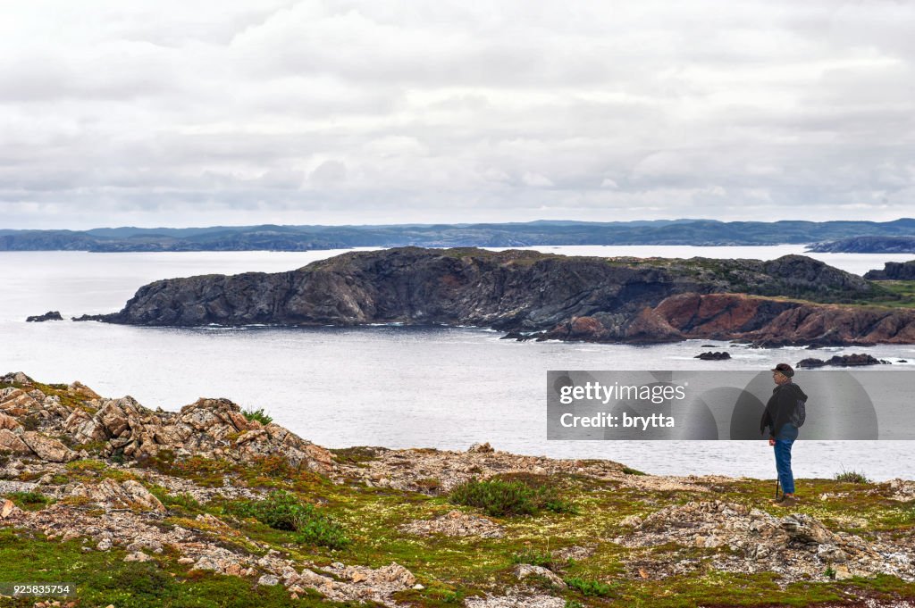 Caucasian woman admiring the scenery during a hike near Twillingate, Newfoundland,Canada