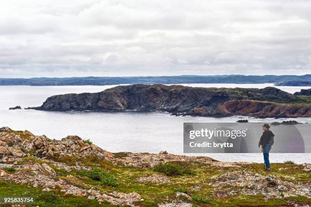 caucasian woman admiring the scenery during a hike near twillingate, newfoundland,canada - newfoundland and labrador stock pictures, royalty-free photos & images