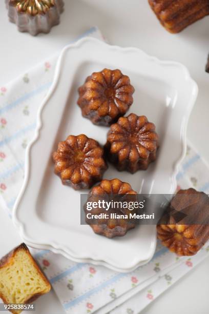 fluted bordeaux - canele stockfoto's en -beelden