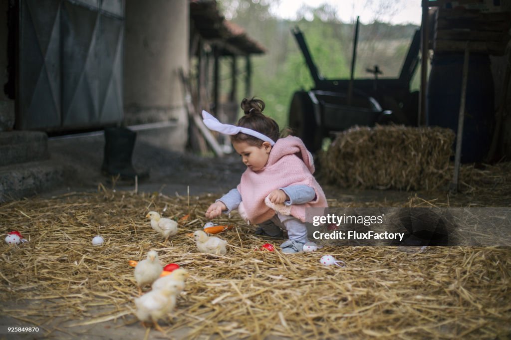 Egg hunt in the barn