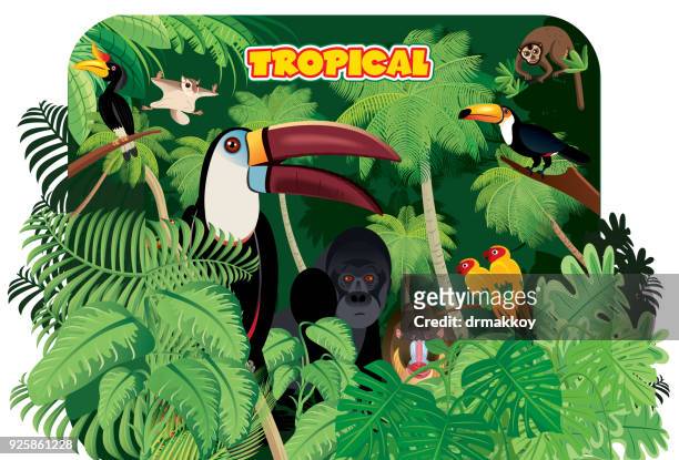 stockillustraties, clipart, cartoons en iconen met tropisch regenwoud en toucan - jungle animal