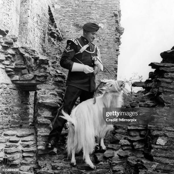 Waiting to take part in the display given by the Royal Welch Fusiliers at Caerphilly Castle, 13th July 1967. The regimental goal, Billy, decided he...