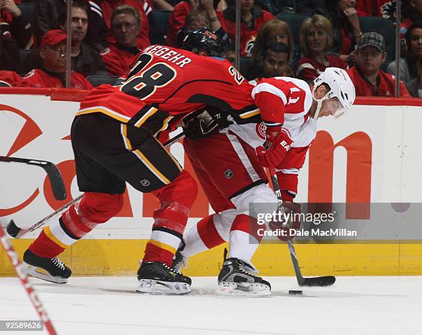 Daniel Cleary of the Detroit Red Wings battles with Robyn Regehr the Calgary Flames on October 31, 2009 at the Pengrowth Saddledome in Calgary,...