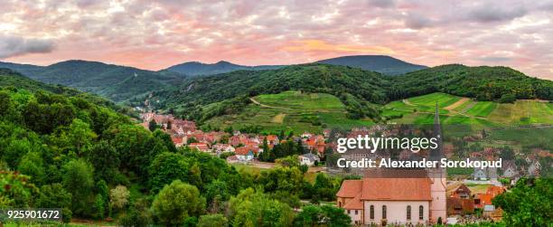 panoramic view to andlau from the hill. vineyards in france. - bas rhin stock-fotos und bilder