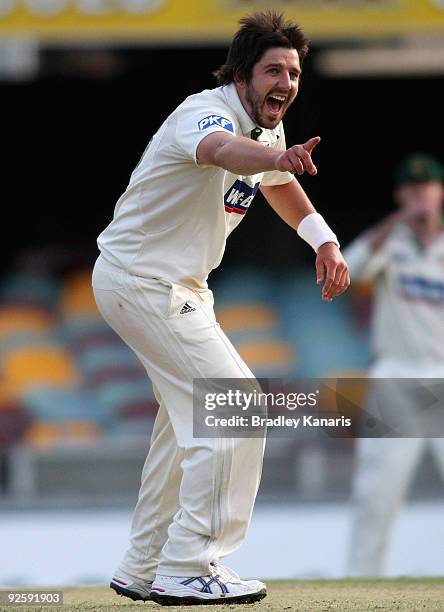 Brett Geeves of the Tigers appeals to the umpire and takes the wicket of Wade Townsend of the Bulls during day one of the Sheffield Shield match...