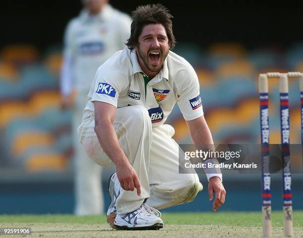Brett Geeves of the Tigers appeals to the umpire during day one of the Sheffield Shield match between the Queensland Bulls and the Tasmanian Tigers...
