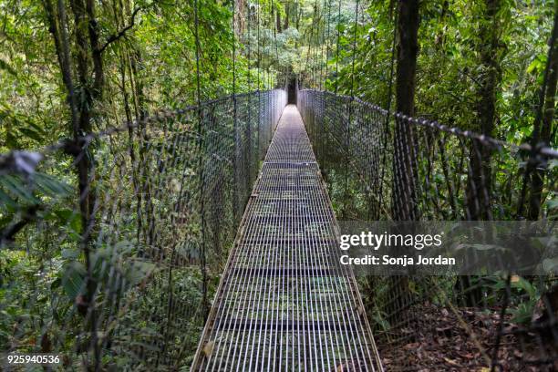 suspension bridge in the rainforest, mistico arenal suspension bridges park, volcan arenal national park, alajuela province, costa rica - alajuela province stock-fotos und bilder