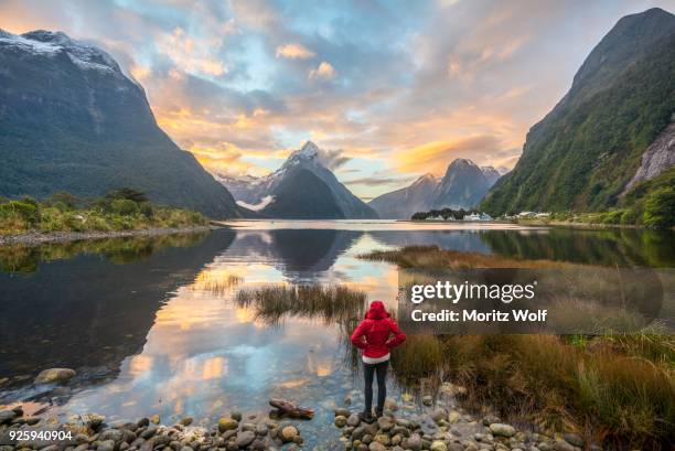 tourist looking at the landscape, miter peak reflected in the water, sunset, milford sound, fiordland national park, te anau, southland region, southland, new zealand, oceania - pico mitre fotografías e imágenes de stock