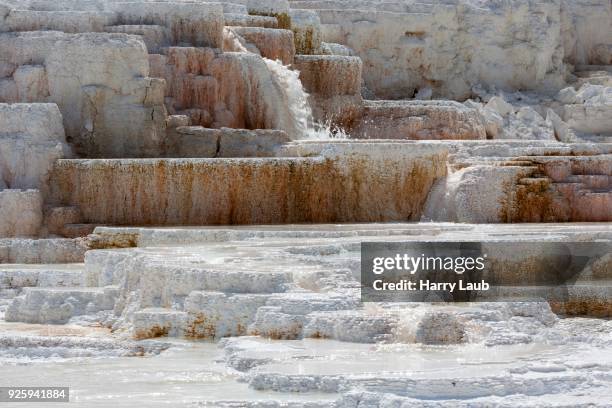 Calcerous Spring Calcareous Sinter Photos and Premium High Res Pictures - Getty Images