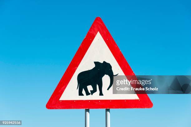 sign, beware elephants, near opuwo, namibia - opuwo photos et images de collection