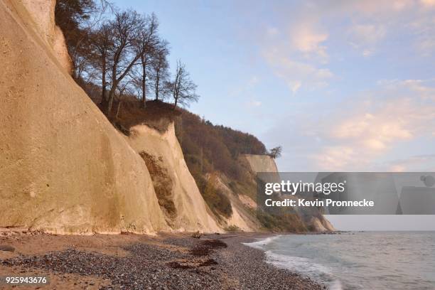 chalk coast in autumn, island ruegen, mecklenburg-western pomerania, germany - rügen island chalk cliffs stock-fotos und bilder