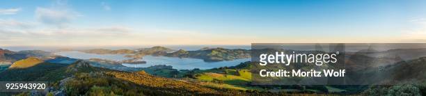 view from mount cargill dunedin with otago harbor and otago peninsula, evening mood, dunedin, otago, southland, new zealand - rural new zealand stock pictures, royalty-free photos & images
