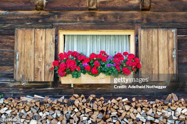 geraniums in front of window of mountain hut, laminated wood, engalm, vomp, tyrol, austria - window box stock pictures, royalty-free photos & images