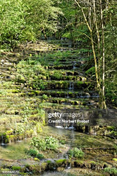 travertine terraces, travertine creek in the natural monument lillachtal, weissenohe-dorfhaus, franconian switzerland natural preserve, upper franconia, franconia, bavaria, germany - calcification stock pictures, royalty-free photos & images