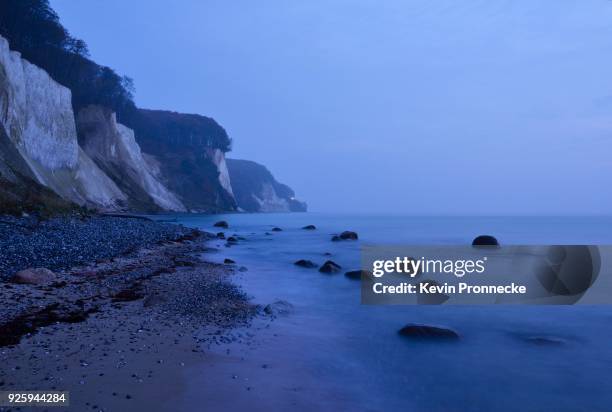 fog and haze, daybreak, blue hour on the chalk coast, island ruegen, mecklenburg-western pomerania, germany - rügen island chalk cliffs stock-fotos und bilder