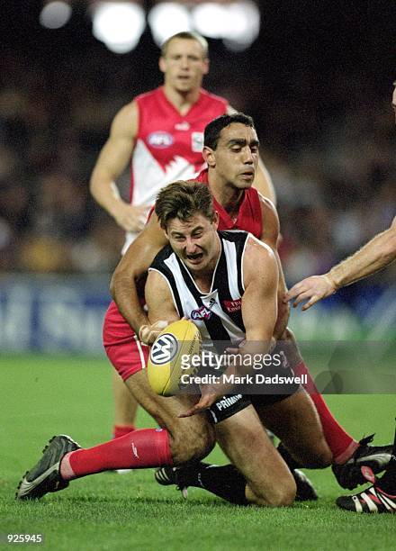 Mark Richardson for Collingwood and Adam Goodes for Sydney in action during round 10 of the AFL season match played between the Collingwood Magpies...