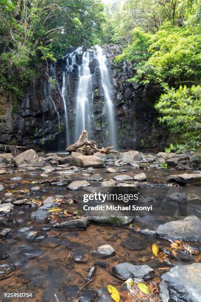 ellinjaa waterfall, millaa millaa, queensland - millaa millaa waterfall stock pictures, royalty-free photos & images