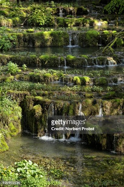 travertine terraces, travertine creek in the natural monument lillachtal, weissenohe-dorfhaus, franconian switzerland natural preserve, upper franconia, franconia, bavaria, germany - calcification stock pictures, royalty-free photos & images