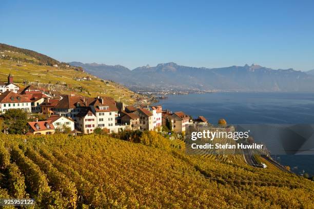 vineyards in autumn, lake geneva and winegrowing village of rivaz, lavaux, canton of vaud, switzerland - geneva canton stock-fotos und bilder