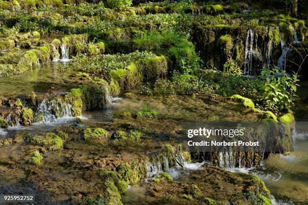 travertine terraces, travertine creek in the natural monument lillachtal, weissenohe-dorfhaus, franconian switzerland natural preserve, upper franconia, franconia, bavaria, germany - calcification stock pictures, royalty-free photos & images