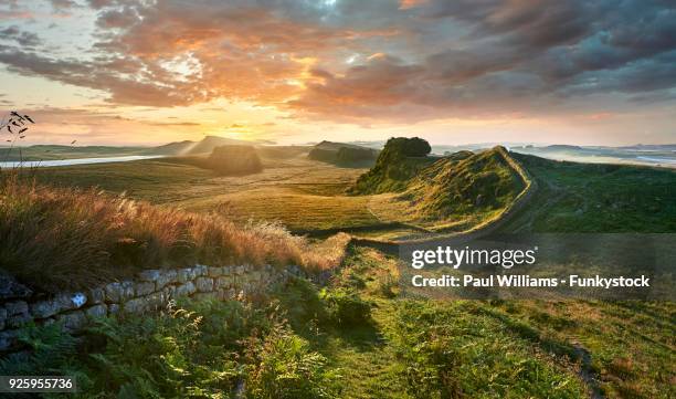 hadrians wall near houseteads roman fort, vercovicium, northumberland, england, united kingdom - hadrians wall stock pictures, royalty-free photos & images