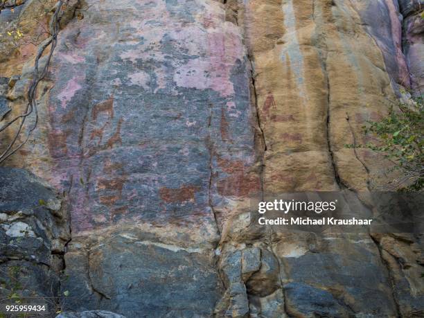 rock paintings, tsodilo hills, kalahari desert, botswana - kraushaar photos et images de collection