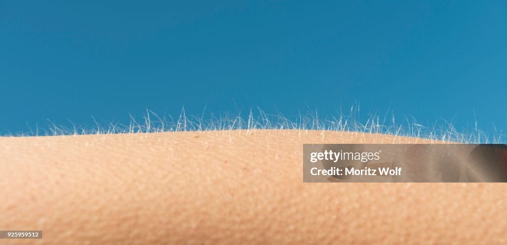 Goosebumps, detail