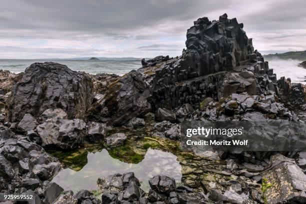 Dunedin Rocks 62 Dunedin Volcano Stock Photos, High-Res Pictures, and Images - Getty ...