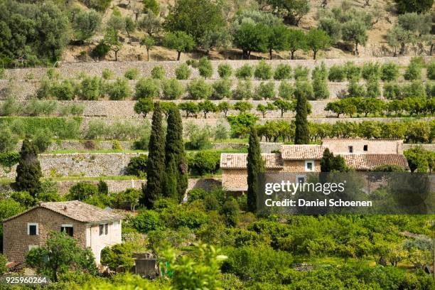 mountain village with citrus plantations, fornalutx, serra de tramuntana, majorca, balearics, spain - balearics stock pictures, royalty-free photos & images