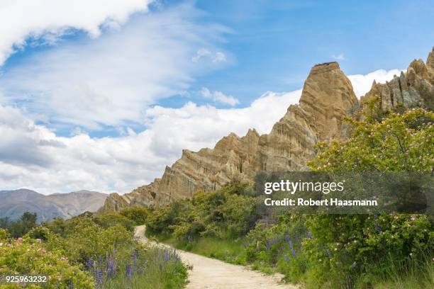 clay cliffs near omarama, canterbury region, southland, new zealand - canterbury region new zealand stockfoto's en -beelden