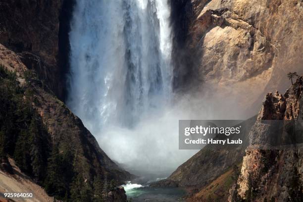 lower falls, yellowstone national park, wyoming, usa - cataratas lower falls fotografías e imágenes de stock