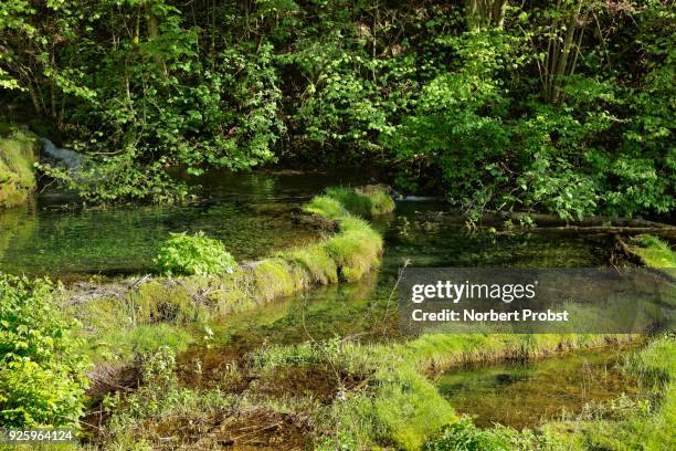 travertine terraces, basin, travertine creek in the natural monument lillachtal, weissenohe-dorfhaus, franconian switzerland natural preserve, upper franconia, franconia, bavaria, germany - calcification stock pictures, royalty-free photos & images