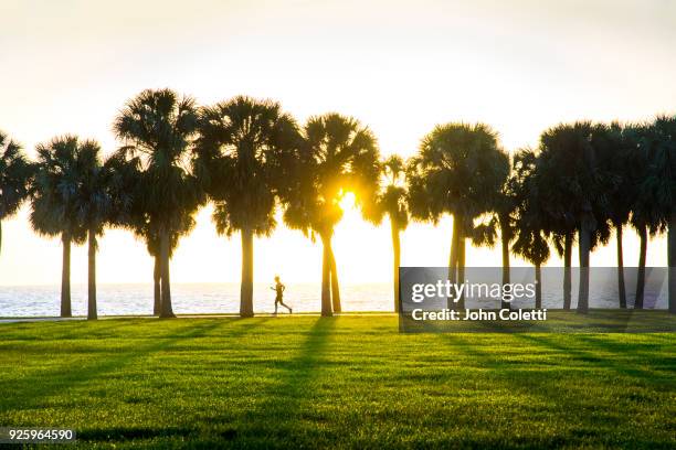 vinoy park, sunrise, saint petersburg, florida - st petersburg stockfoto's en -beelden
