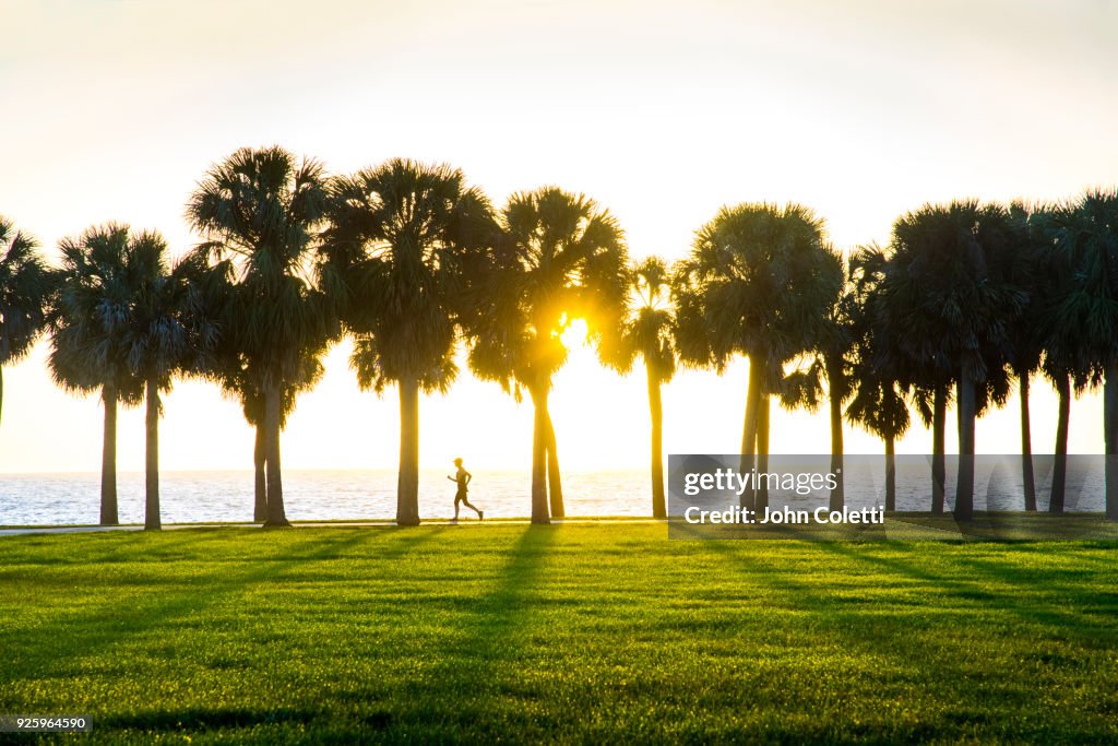 Vinoy Park, Sunrise, Saint Petersburg, Florida