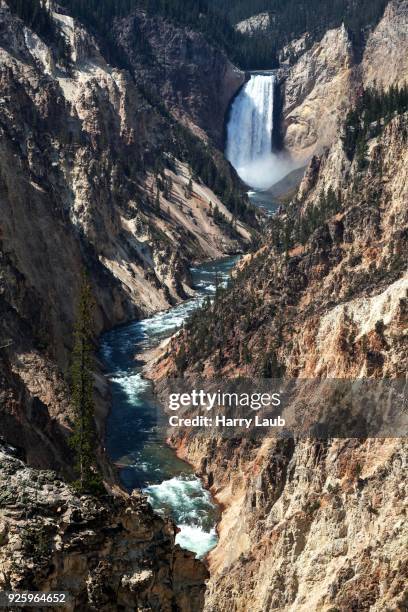 view from artist point in the grand canyon of the yellowstone, yellowstone river and lower falls of the yellowstone, yellowstone national park, wyoming, usa - cataratas lower falls fotografías e imágenes de stock