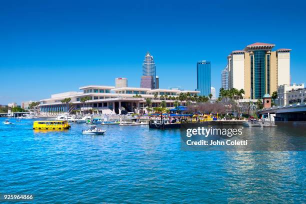 tampa, florida - tampa fotografías e imágenes de stock