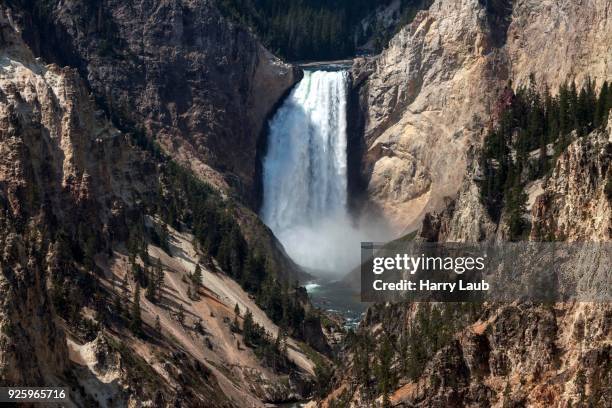lower falls, yellowstone national park, wyoming, usa - cataratas lower falls fotografías e imágenes de stock