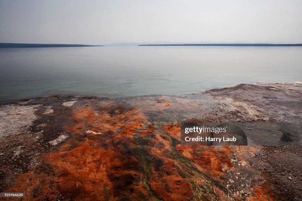 Mineral deposits in the West Thumb Geyser Basin, Yellowstone Lake, Yellowstone National Park, Wyoming, USA