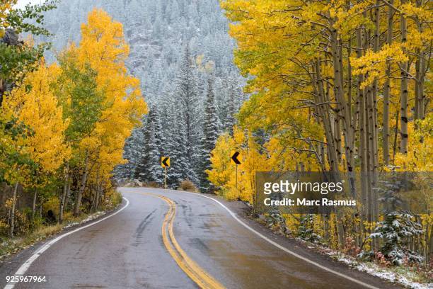 road in snowy forest, autumn leaves, rocky mountains, colorado, usa - rocky road stock pictures, royalty-free photos & images