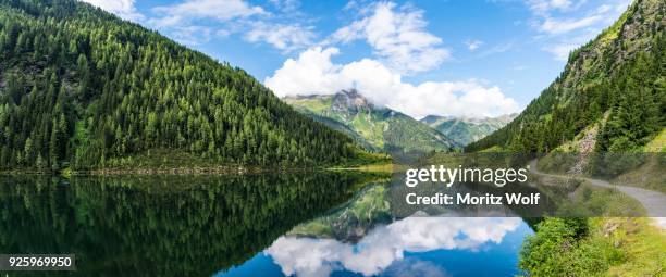 forest and mountains, reflection in lake riesachsee, rohrmoos-untertal, schladming tauern, schladming, styria, austria - schladming stockfoto's en -beelden