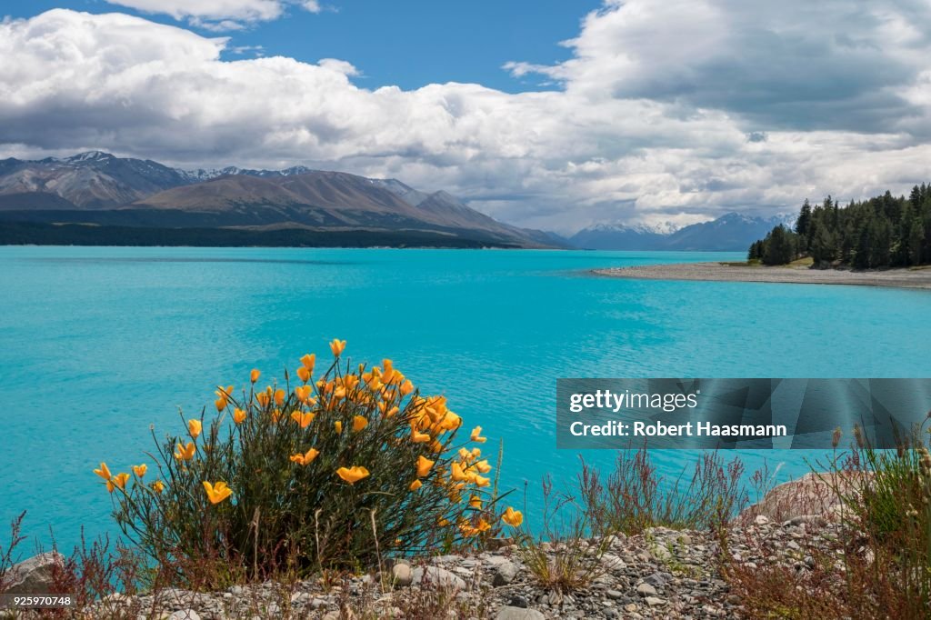 Lake Pukaki, mountains behind, New Zealand Southern Alps, Pukaki, Canterbury Region, Southland, New Zealand