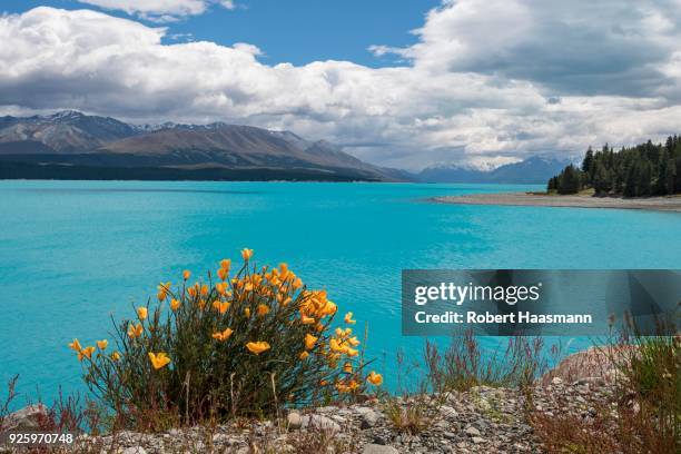 lake pukaki, mountains behind, new zealand southern alps, pukaki, canterbury region, southland, new zealand - canterbury region new zealand - fotografias e filmes do acervo