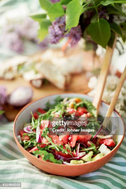 salad in bowl - watermelon picnic stock pictures, royalty-free photos & images