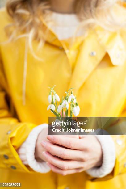 mid section of woman in yellow raincoat holding snowflakes flower - snowdrops stockfoto's en -beelden