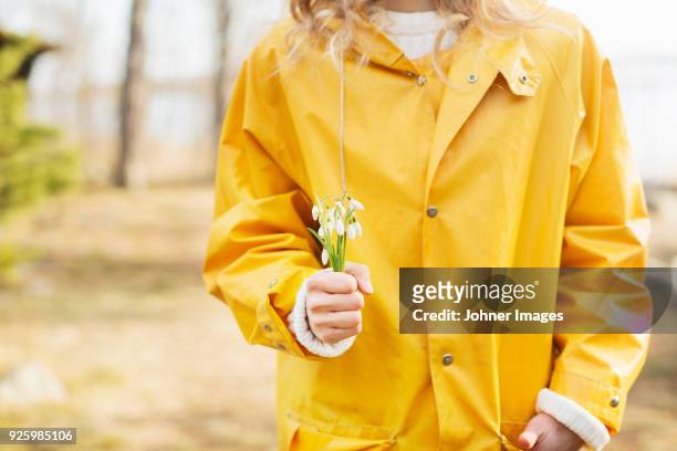 mid section of woman in yellow raincoat holding bunch of snowflakes flower - snowdrops stockfoto's en -beelden