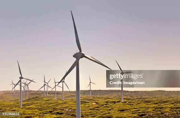wind turbines on a wind farm, albany, western australia, australia - albany western australia photos et images de collection