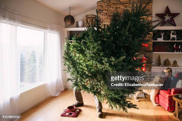 man setting up a christmas tree in the living room with son and dog sitting on a couch - decoração de quarto rapaz imagens e fotografias de stock