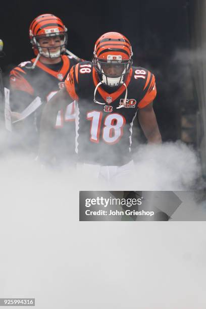 Green of the Cincinnati Bengals takes the field for the game against the Detroit Lions at Paul Brown Stadium on December 24, 2017 in Cincinnati,...