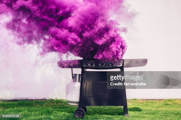 smoking barbecue - bbq smoker stock pictures, royalty-free photos & images